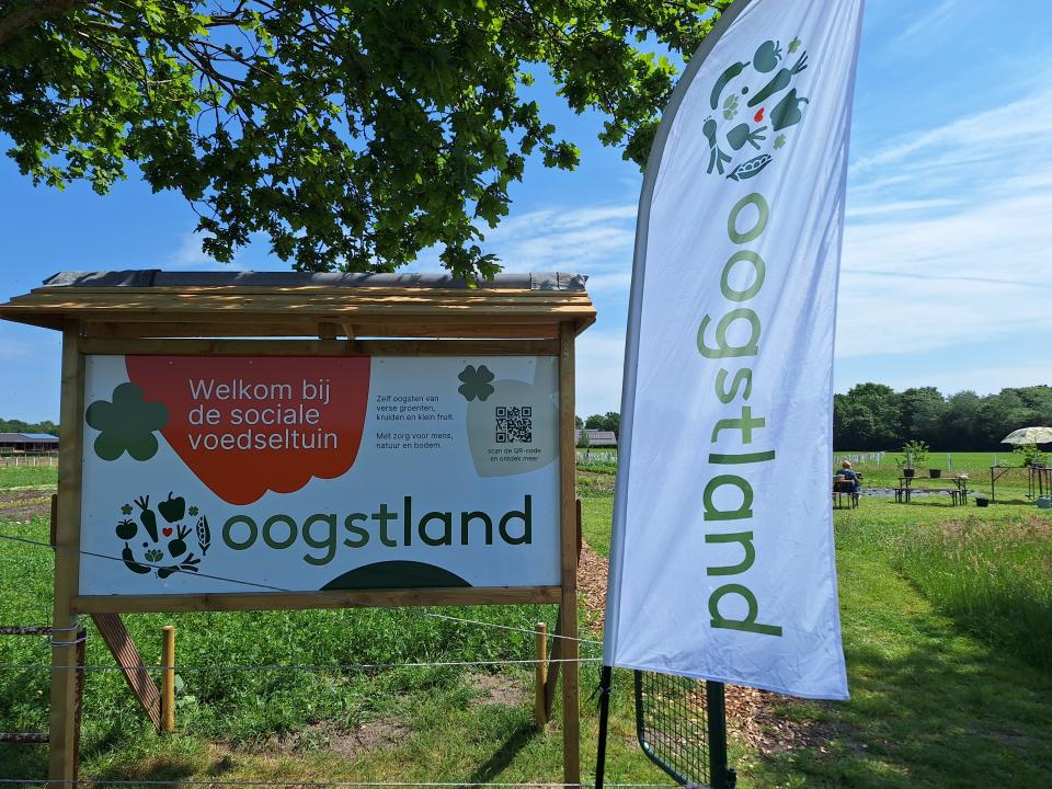 Oogstland
