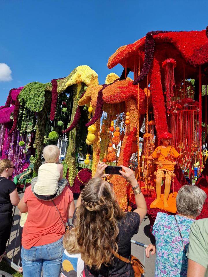 Mensen kijken naar de fel gekleurde wagens van het Bloemencorso Eelde