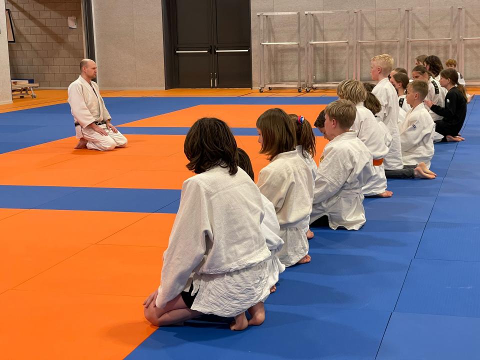 Judoles