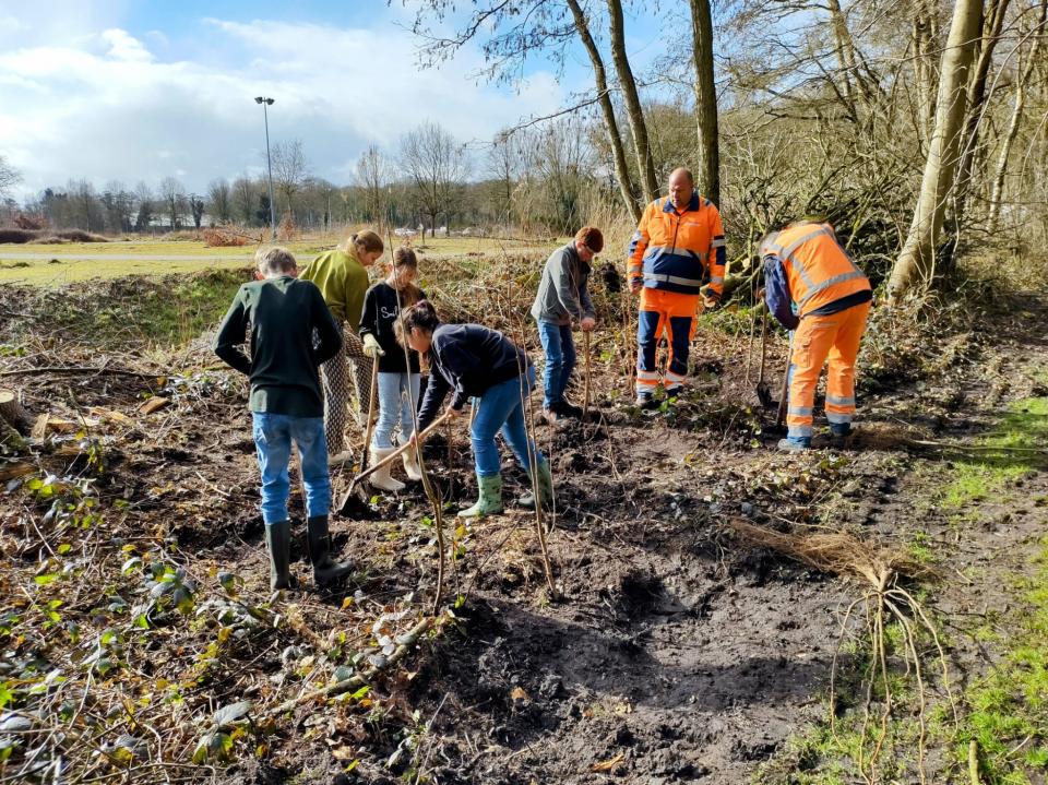 Kinderen plantten struiken in Zuidlaren
