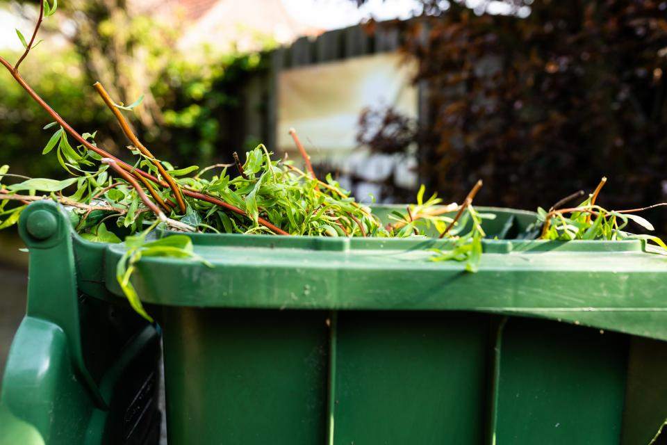 Opengeklapte groene container met groen afval tot op de rand