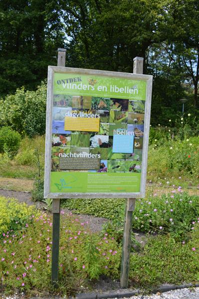 Vlindertuin bij volkstuin Zuid-Es