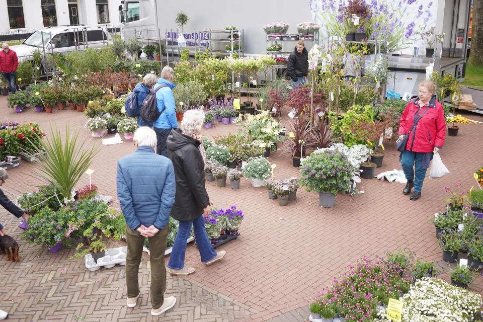 bezoekers op de voorjaarsmarkt kijkend naar plantjes